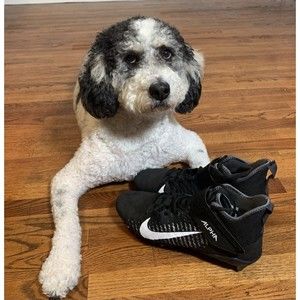 Nike Alpha Menace Pro 2 D Men's Cleat, Size 13 - Black/White Football AQ320-9002